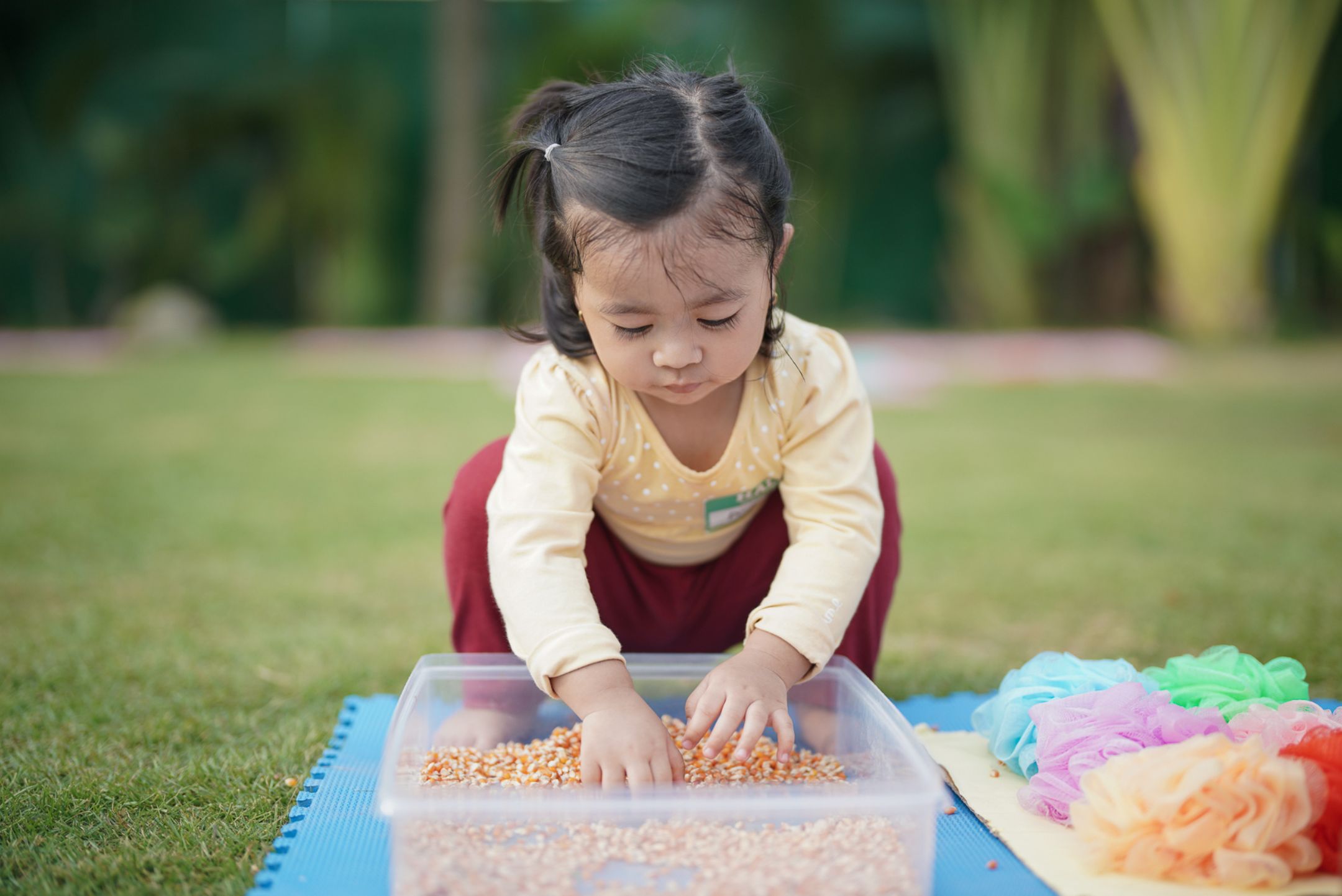 Sensory Diets